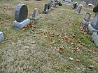 Filename=P1230950.JPG
Filesize=319KiB
Dimensions=1100x825
Date added=Nov 08, 2022 P1230950.JPG