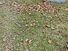 P1240288~0.JPG