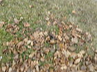 P1240369__End_Ward_U__NSA.JPG