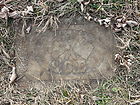 Filename=P1250917__NML-C__S_O_E_.JPG
Filesize=361KiB
Dimensions=1100x825
Date added=Dec 09, 2023 P1250917__NML-C__S_O_E_.JPG