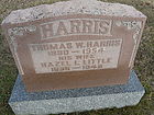 Filename=P1250941__NML-C2C_TOM_HARRIS2C_HAZEL_LITTLE.JPG
Filesize=318KiB
Dimensions=1100x825
Date added=Dec 09, 2023 P1250941__NML-C2C_TOM_HARRIS2C_HAZEL_LITTLE.JPG