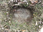 Filename=P1250944__NML-C__WELLMAN.JPG
Filesize=430KiB
Dimensions=1100x825
Date added=Dec 09, 2023 P1250944__NML-C__WELLMAN.JPG