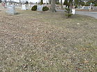 Filename=P1250997~0.JPG
Filesize=343KiB
Dimensions=1100x825
Date added=Nov 20, 2023 P1250997~0.JPG