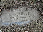Filename=P1260110__NML-B2C_LILY_M__MAINE.JPG
Filesize=308KiB
Dimensions=1100x825
Date added=Dec 02, 2023 P1260110__NML-B2C_LILY_M__MAINE.JPG