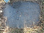Filename=P1260313.JPG
Filesize=313KiB
Dimensions=1100x825
Date added=Nov 05, 2022 P1260313.JPG