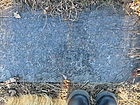 Filename=P1260361.JPG
Filesize=254KiB
Dimensions=1100x825
Date added=Nov 06, 2022 P1260361.JPG