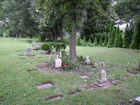 Filename=SAM_0002.JPG
Filesize=322KiB
Dimensions=1024x768
Date added=Jan 13, 2012 SAM_0002.JPG