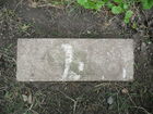 Filename=SAM_0031.JPG
Filesize=343KiB
Dimensions=1024x768
Date added=Jan 13, 2012 SAM_0031.JPG