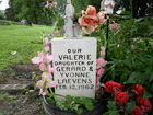 Filename=SAM_0054.JPG
Filesize=349KiB
Dimensions=1024x768
Date added=Jan 13, 2012 SAM_0054.JPG