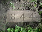 SAM_0192.JPG