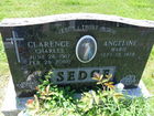 Filename=SAM_1485.JPG
Filesize=339KiB
Dimensions=1024x768
Date added=Jun 17, 2011 SAM_1485.JPG