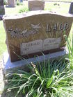 SAM_1549.JPG