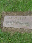 Filename=SAM_1760.JPG
Filesize=250KiB
Dimensions=768x1024
Date added=Jun 19, 2011 SAM_1760.JPG