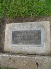 Filename=SAM_1761.JPG
Filesize=253KiB
Dimensions=768x1024
Date added=Jun 19, 2011 SAM_1761.JPG