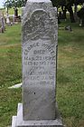 Filename=White2C_George___Phebe_Jane_28229.JPG
Filesize=190KiB
Dimensions=733x1100
Date added=May 06, 2020 White2C_George___Phebe_Jane_28229.JPG