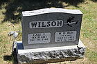 Wilson2C_W_D.jpg
