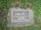 Filename=DSCF6540.JPG
Filesize=1936KiB
Dimensions=1100x825
Date added=Aug 30, 2011 DSCF6540.JPG