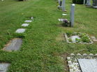 Filename=DSCF6989.JPG
Filesize=1996KiB
Dimensions=1100x825
Date added=Oct 17, 2011 DSCF6989.JPG
