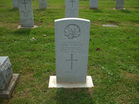 Filename=DSCF7172.JPG
Filesize=2012KiB
Dimensions=1100x825
Date added=Oct 29, 2011 DSCF7172.JPG