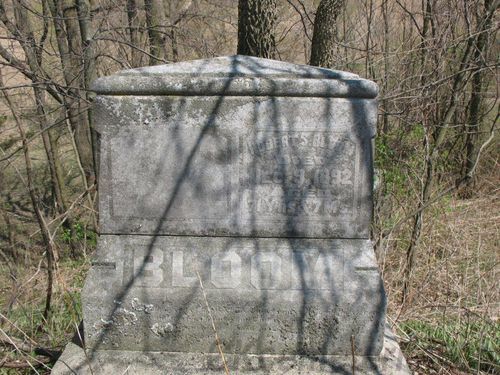 Click to view full size image