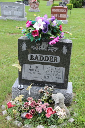 Click to view full size image