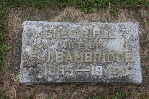 Click to view full size image