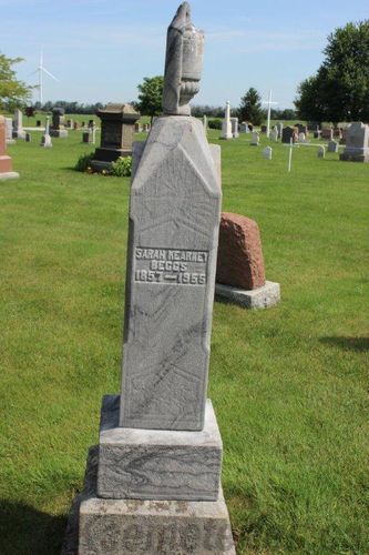 Click to view full size image