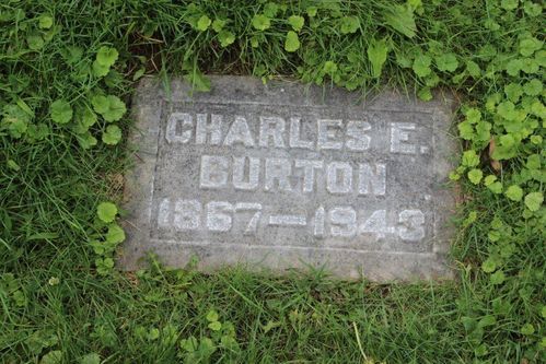 Click to view full size image