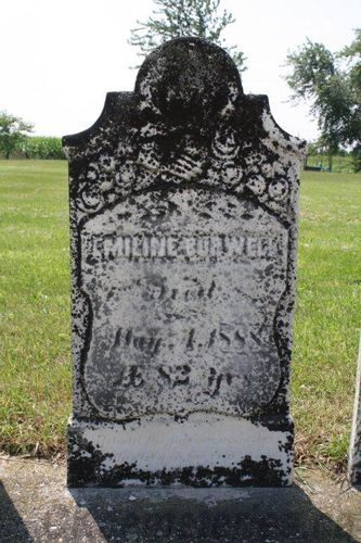 Click to view full size image