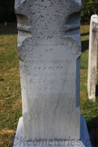 Click to view full size image