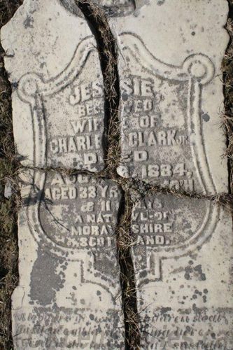 Click to view full size image