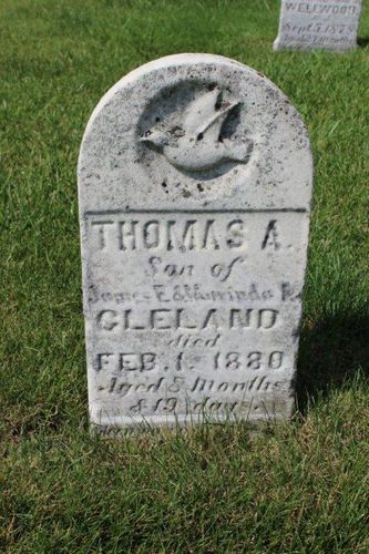 Click to view full size image