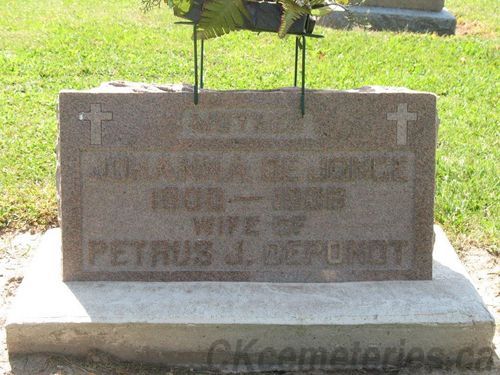 Click to view full size image