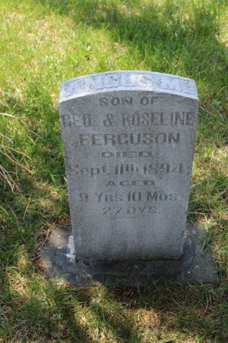 Click to view full size image