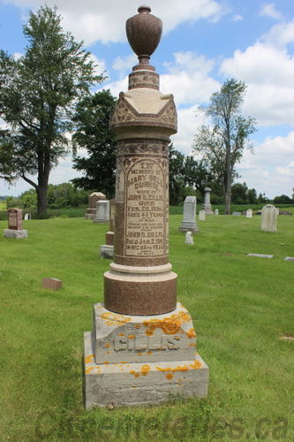 Click to view full size image