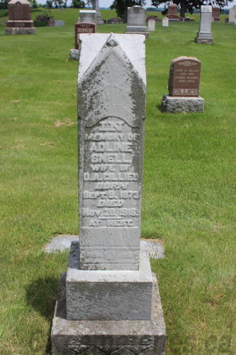 Click to view full size image