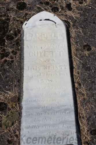 Click to view full size image