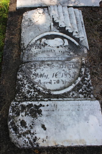 Click to view full size image