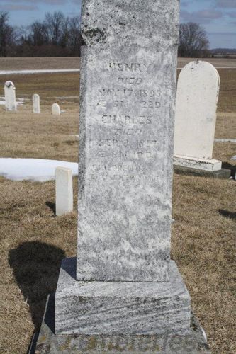 Click to view full size image