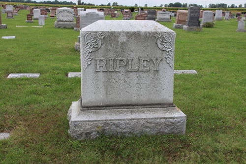 Click to view full size image