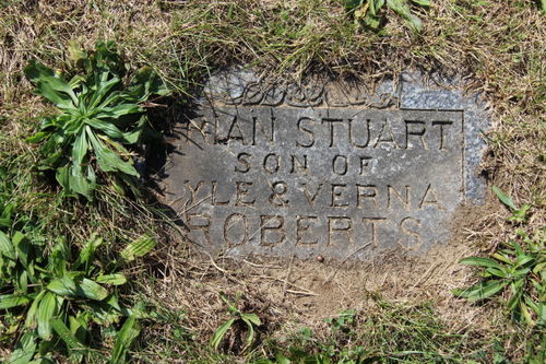 Click to view full size image