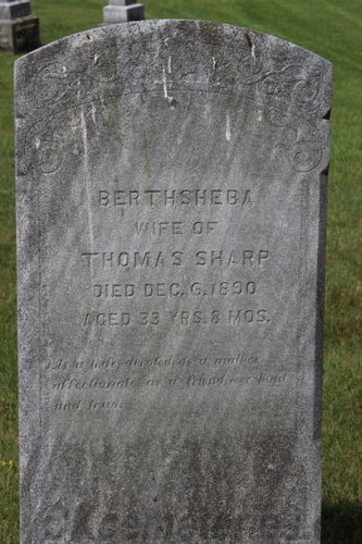 Click to view full size image