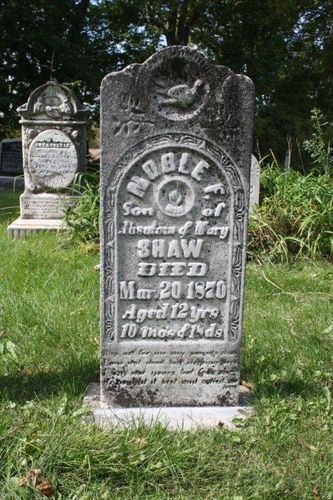 Click to view full size image