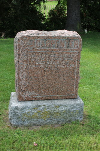 Click to view full size image