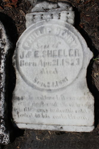 Click to view full size image