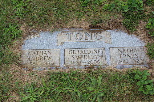 Click to view full size image