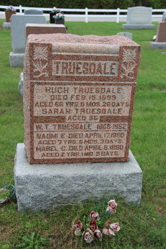 Click to view full size image