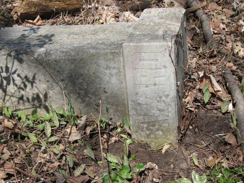 Click to view full size image