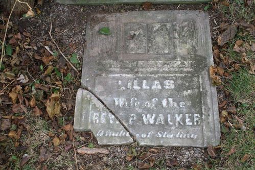 Click to view full size image