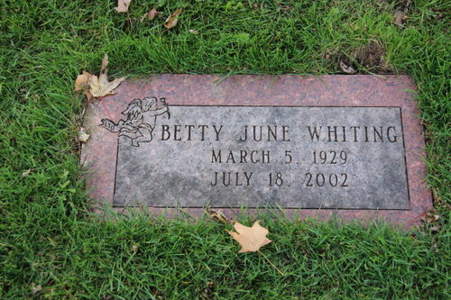 Click to view full size image